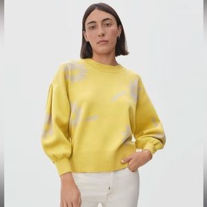 NWOT Everlane cotton merino sweater